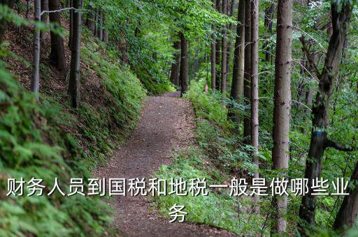 財務(wù)人員到國稅和地稅一般是做哪些業(yè)務(wù)