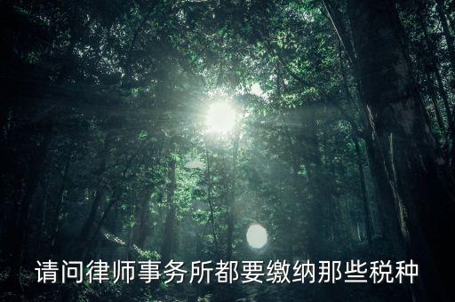 請(qǐng)問(wèn)律師事務(wù)所都要繳納那些稅種