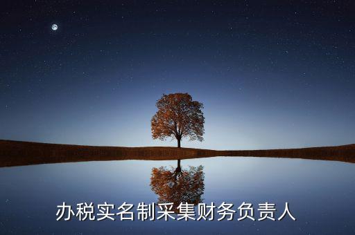 什么是實(shí)名辦稅，辦稅實(shí)名制采集財(cái)務(wù)負(fù)責(zé)人