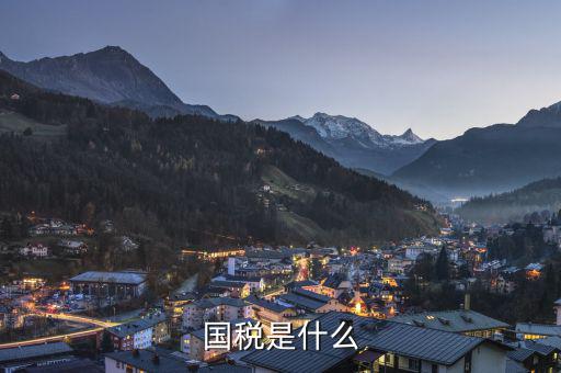 國稅是什么