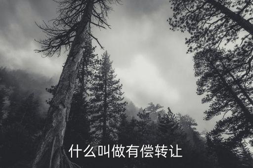 有償轉(zhuǎn)移安置什么意思，有償轉(zhuǎn)發(fā)什么意思