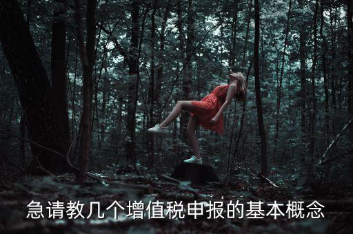 增值稅申報(bào)是什么意思，增值稅申報(bào)什么意思