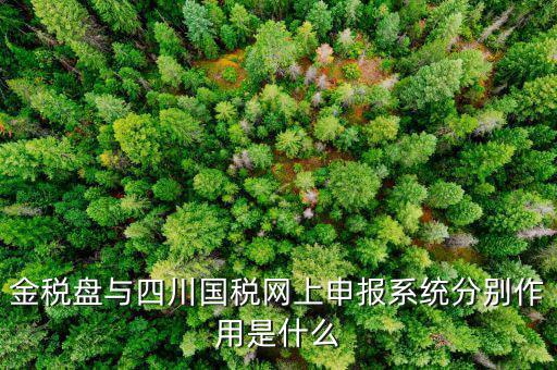 金稅盤(pán)的作用是什么，請(qǐng)問(wèn)現(xiàn)在國(guó)稅局換的金稅盤(pán)主要的作用是什么
