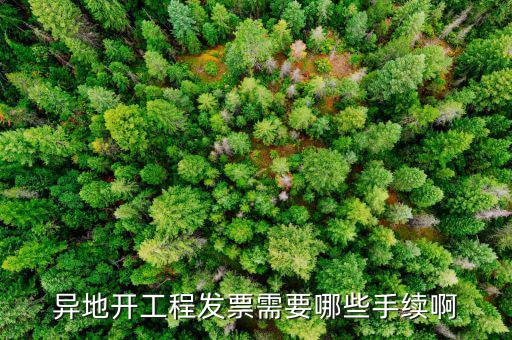 外地項(xiàng)目開(kāi)票需要什么手續(xù)，在外地開(kāi)票需要什么手續(xù)