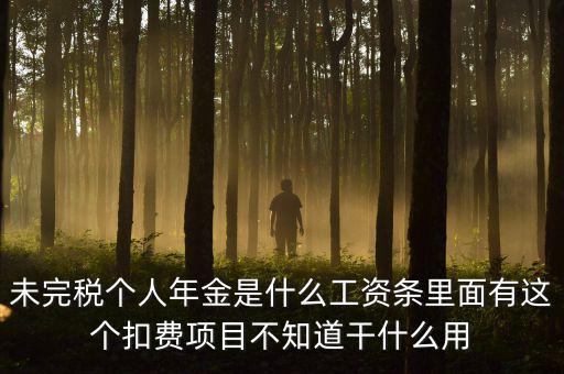 個稅年金是什么，未完稅個人年金是什么工資條里面有這個扣費(fèi)項(xiàng)目不知道干什么用