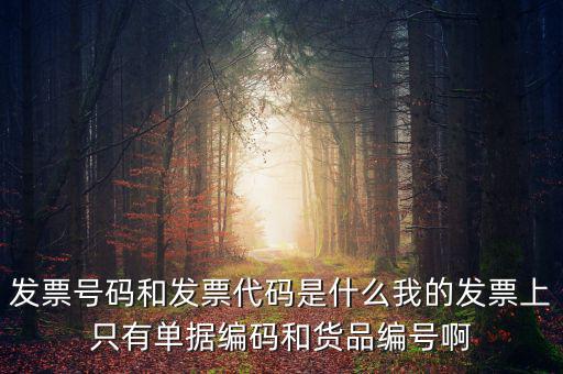 發(fā)票代碼指什么地方，增值稅普通發(fā)票的12位發(fā)票代碼在什么位置