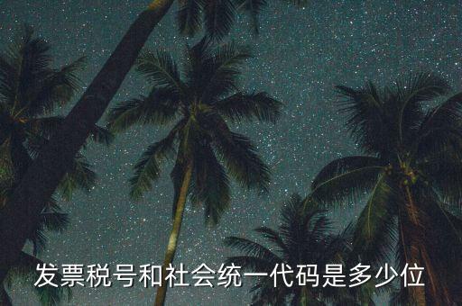 發(fā)票統(tǒng)一社會(huì)信用代碼是什么，現(xiàn)在開發(fā)票要的社會(huì)信用代碼是誰的代碼