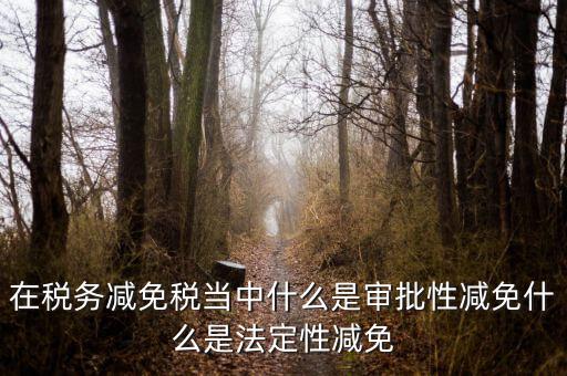在稅務(wù)減免稅當中什么是審批性減免什么是法定性減免