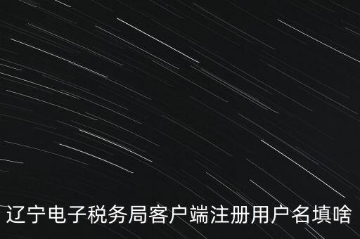 網(wǎng)上辦稅帳號是什么，登錄國稅網(wǎng)上辦稅服務(wù)廳的用戶名和密碼是什么