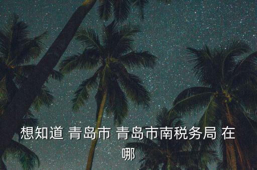 青島稅務局在什么地方，青島國稅局在什么位置在什么路上