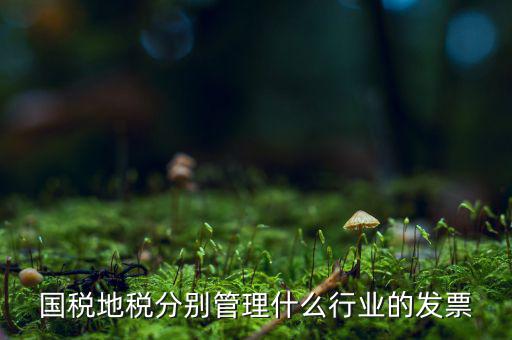 國稅地稅分別管理什么行業(yè)的發(fā)票