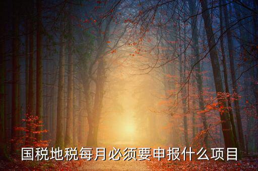 國稅月初申報什么，國稅地稅每月必須要申報什么項目