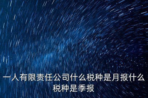 一人有限責任公司什么稅種是月報什么稅種是季報