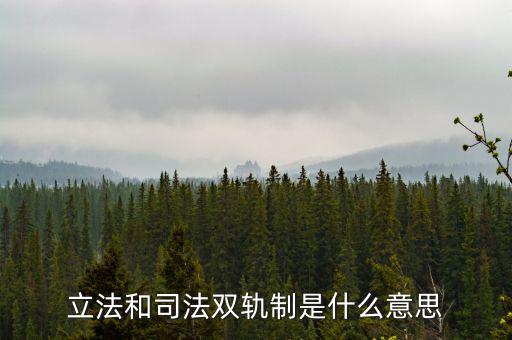 雙軌運行什么意思，雙軌運行解數字