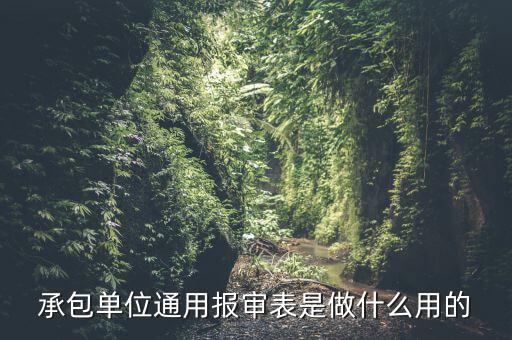 通用申報是什么意思，申報是什么意思
