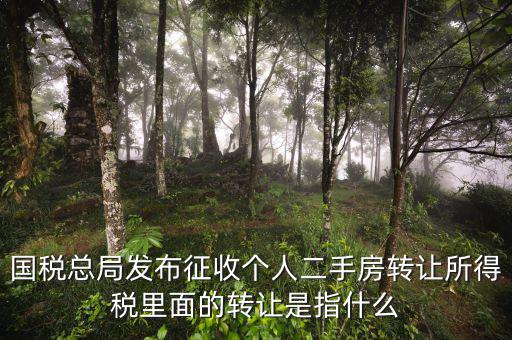 稅收轉(zhuǎn)讓是什么，國(guó)稅總局發(fā)布征收個(gè)人二手房轉(zhuǎn)讓所得稅里面的轉(zhuǎn)讓是指什么