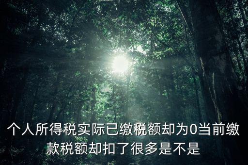 實(shí)繳稅額為什么是0，當(dāng)期的實(shí)交增值稅額為0是否進(jìn)行城建稅的申報(bào)什么意思可以不用申報(bào)