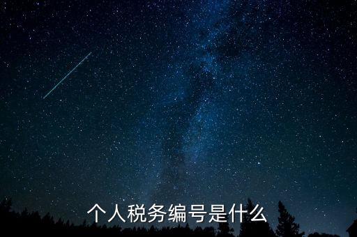 個人的稅收編號是什么，個人所得稅里面的注冊編碼是什么