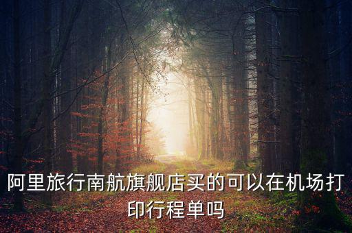 阿里旅行南航旗艦店買的可以在機(jī)場(chǎng)打印行程單嗎