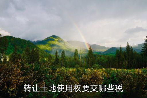 轉(zhuǎn)讓土地使用權要交什么稅，轉(zhuǎn)讓土地使用權要交哪些稅