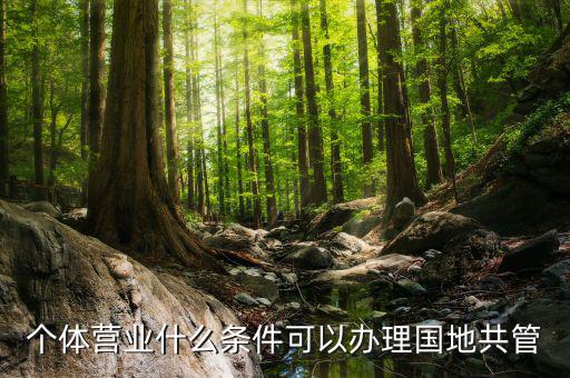 國(guó)地管戶類型是什么，國(guó)稅地稅共管戶