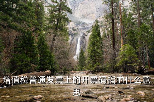 增值票的開票碼是什么意思，增值稅普通發(fā)票上的開票碼指的什么意思