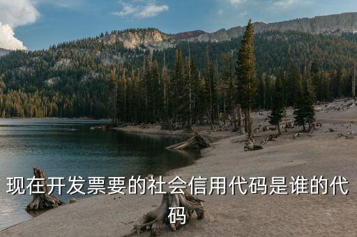發(fā)票上有社會(huì)信用代碼是什么，現(xiàn)在開發(fā)票要的社會(huì)信用代碼是誰的代碼