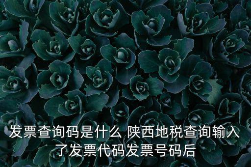 發(fā)票查詢碼是什么 陜西地稅查詢輸入了發(fā)票代碼發(fā)票號(hào)碼后
