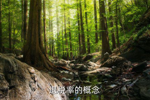 出口退稅率是什么意思，出口退稅率是什么意思啊什么樣的人要交呢