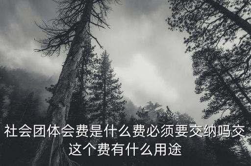 社會團(tuán)體費(fèi)是什么，誰知道工商個體協(xié)會社會團(tuán)體會員費(fèi)是什么