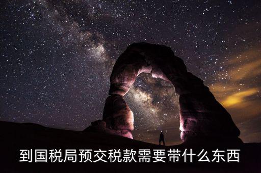 預(yù)繳稅金需要什么資料，到國(guó)稅局預(yù)交稅款需要帶什么東西
