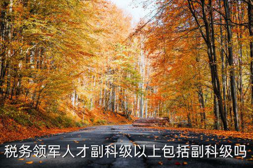 稅務領軍人才副科級以上包括副科級嗎