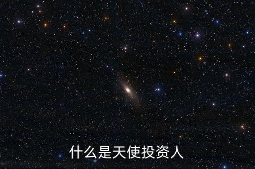 什么叫天使投資個人，天使投資人什么意思