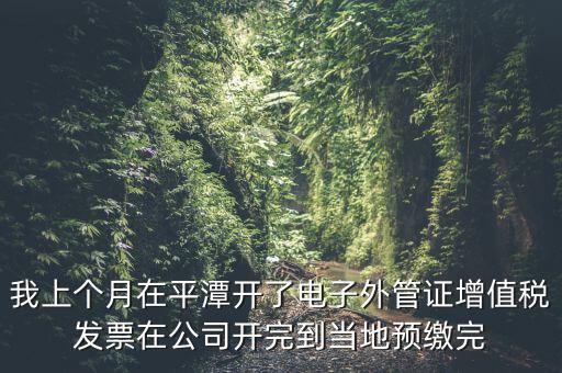 我上個(gè)月在平潭開了電子外管證增值稅發(fā)票在公司開完到當(dāng)?shù)仡A(yù)繳完