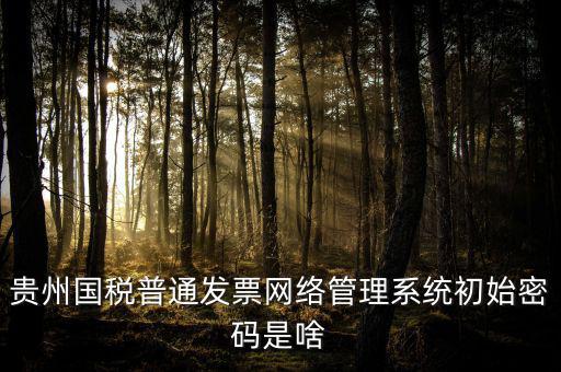 貴州國稅普通發(fā)票網絡管理系統(tǒng)初始密碼是啥