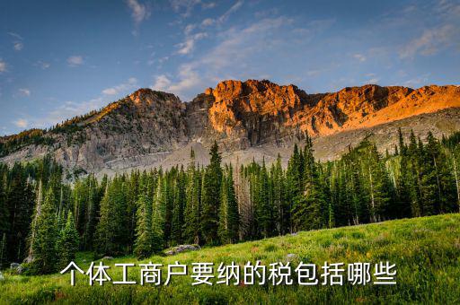 個體戶需要繳納什么稅，個體工商戶需要交哪些稅個體工商戶稅收