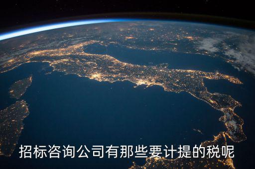 招標(biāo)咨詢公司有那些要計(jì)提的稅呢