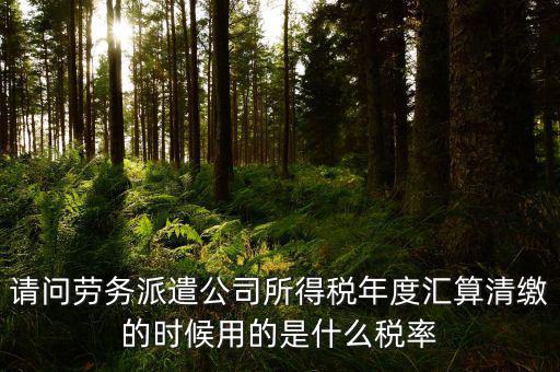 派遣選擇什么稅目，勞務(wù)派遣公司應(yīng)交什么稅種