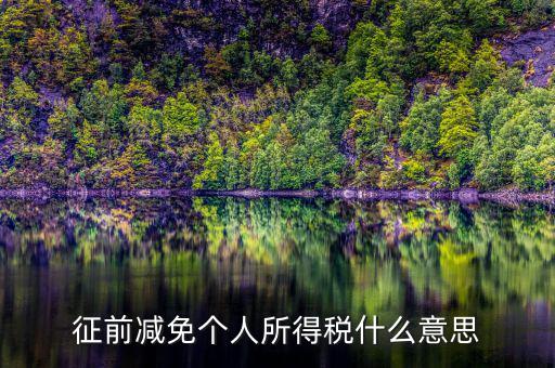 減免所得稅是什么意思，征前減免個人所得稅什么意思