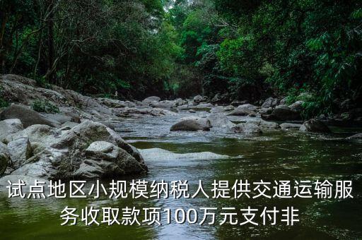 什么向試點地區(qū)納稅人支付費用，4試點地區(qū)內(nèi)一般納稅人向試點地區(qū)內(nèi)一般納稅人支付費用取得增值