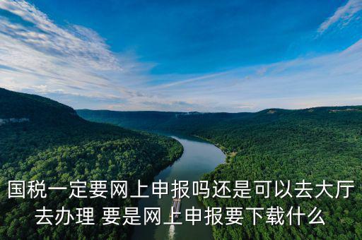 地稅進國稅要下載什么，深圳國地稅想網(wǎng)上申報要下載什么東西嗎