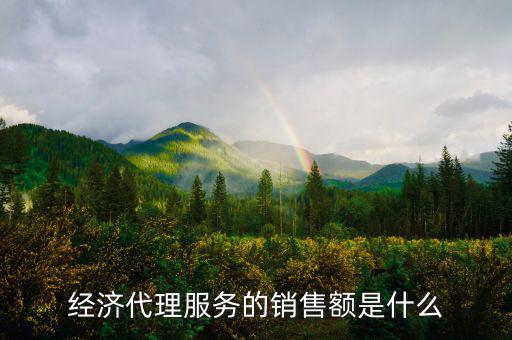 什么是經(jīng)濟(jì)代理，請(qǐng)問什么叫經(jīng)濟(jì)合同代理人