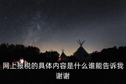 網(wǎng)上報(bào)稅的具體內(nèi)容是什么誰(shuí)能告訴我謝謝