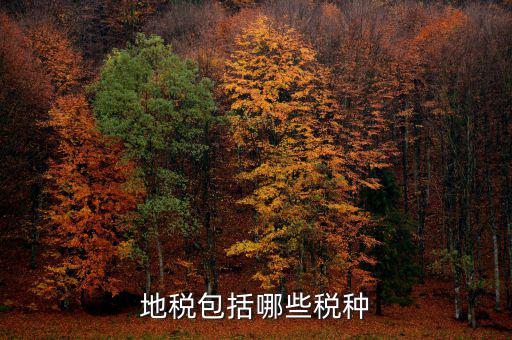 地稅足什么，地稅包括哪些稅種