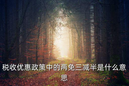稅收優(yōu)惠政策中的兩免三減半是什么意思