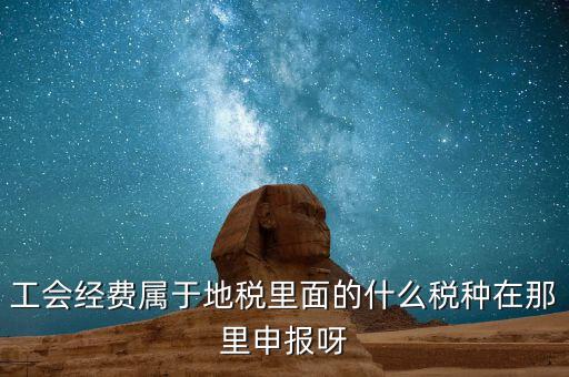工會(huì)活動(dòng)費(fèi)中稅是什么，工會(huì)經(jīng)費(fèi)屬于地稅里面的什么稅種在那里申報(bào)呀