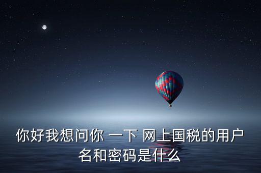 你好我想問(wèn)你 一下 網(wǎng)上國(guó)稅的用戶(hù)名和密碼是什么