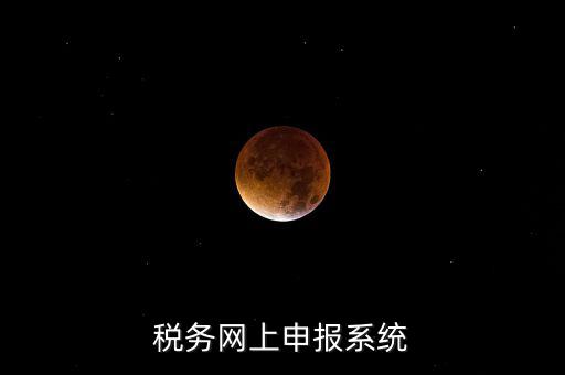 稅務網(wǎng)上申報系統(tǒng)