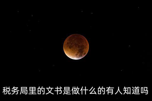 稅務(wù)文書是什么，急需稅務(wù)文書格式