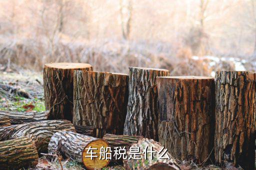 保險的車船稅是什么意思，車船稅是什么
